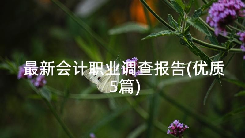 最新会计职业调查报告(优质5篇)