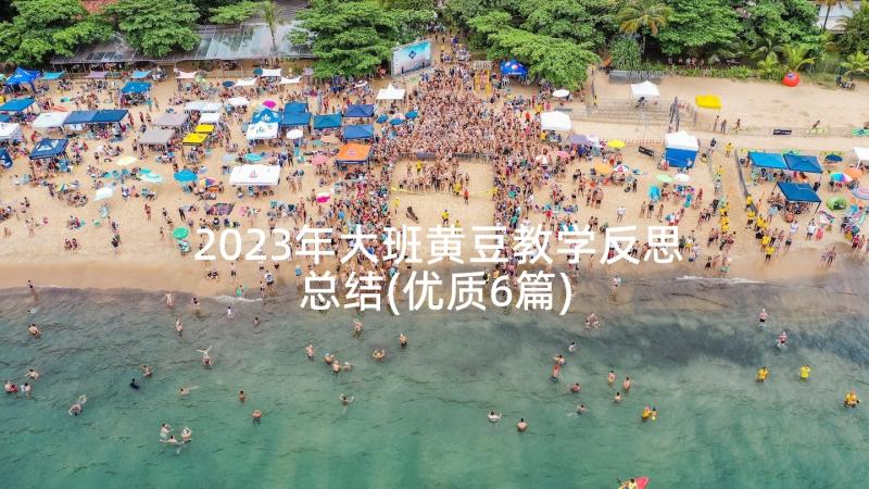 2023年大班黄豆教学反思总结(优质6篇)