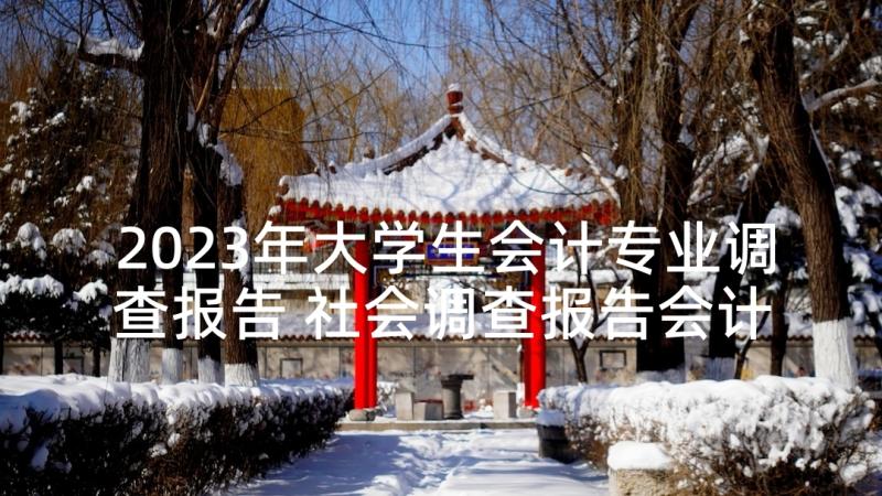 2023年大学生会计专业调查报告 社会调查报告会计专业(汇总5篇)