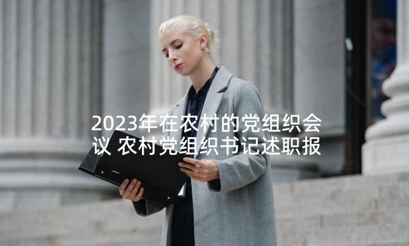 2023年在农村的党组织会议 农村党组织书记述职报告(精选10篇)