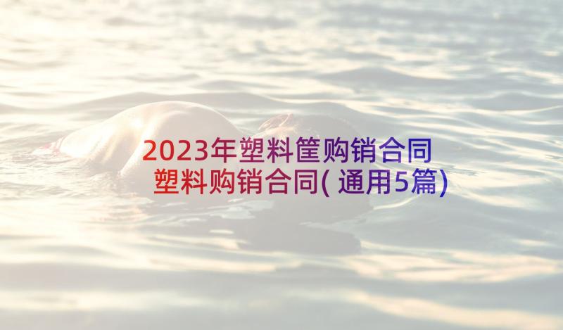 2023年塑料筐购销合同 塑料购销合同(通用5篇)