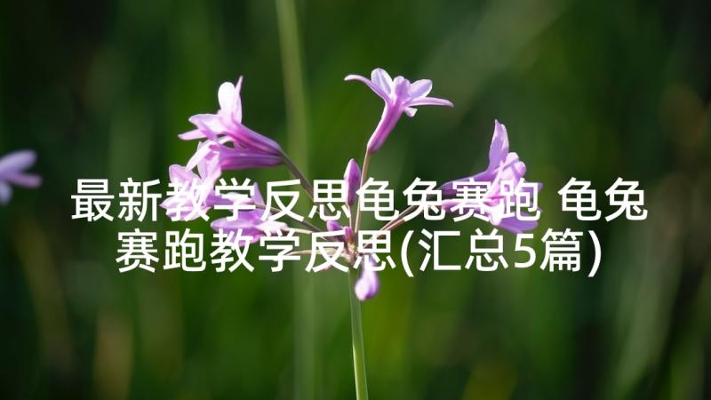 最新教学反思龟兔赛跑 龟兔赛跑教学反思(汇总5篇)