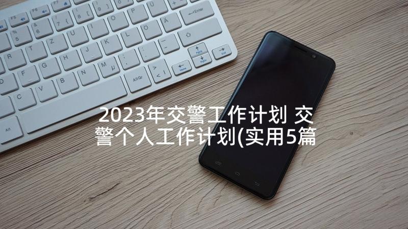 2023年交警工作计划 交警个人工作计划(实用5篇)