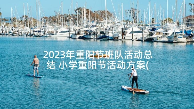 2023年重阳节班队活动总结 小学重阳节活动方案(模板8篇)