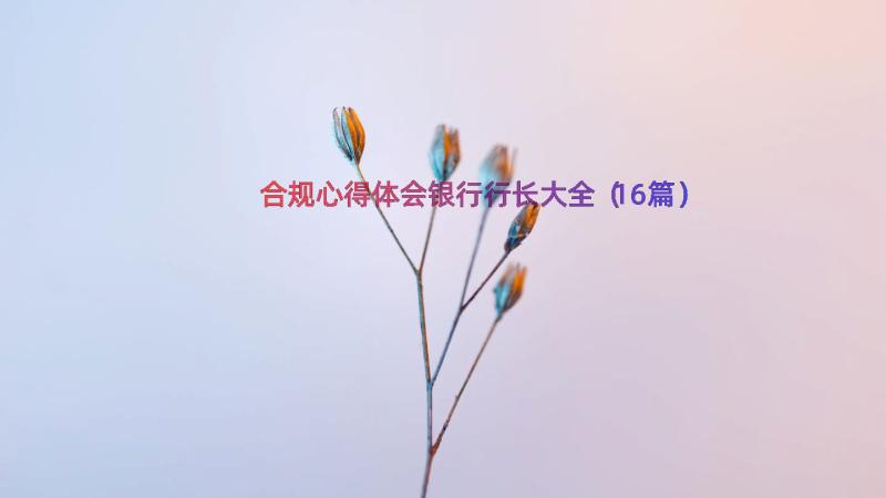 合规心得体会银行行长大全（16篇）