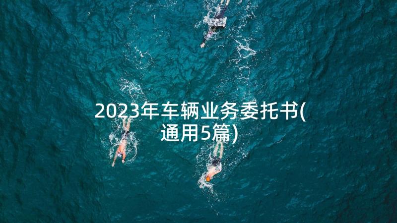 2023年车辆业务委托书(通用5篇)