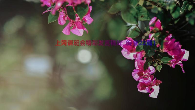 上网课班会精彩发言稿好（专业22篇）