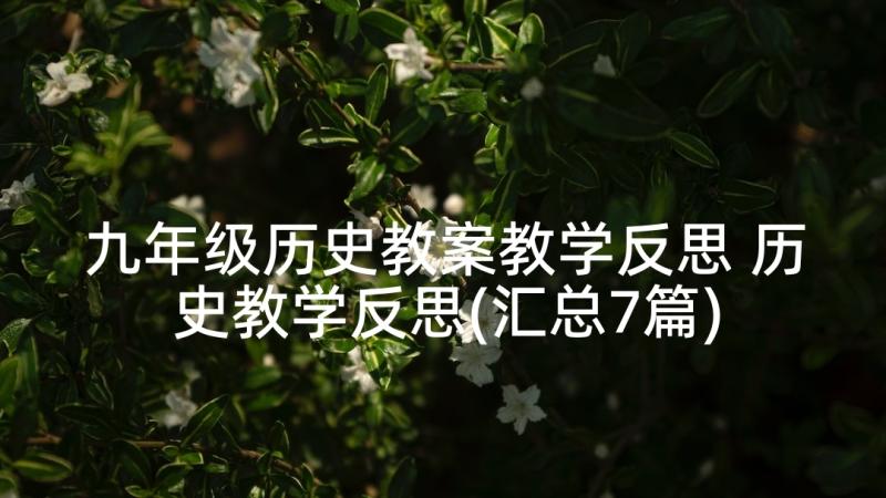 九年级历史教案教学反思 历史教学反思(汇总7篇)