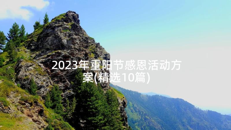 2023年重阳节感恩活动方案(精选10篇)