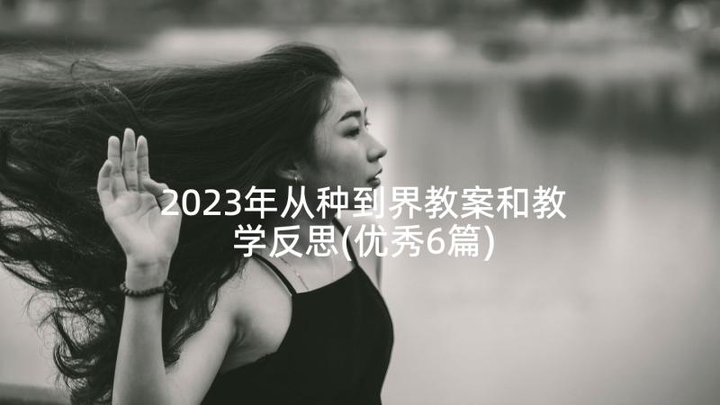 2023年从种到界教案和教学反思(优秀6篇)