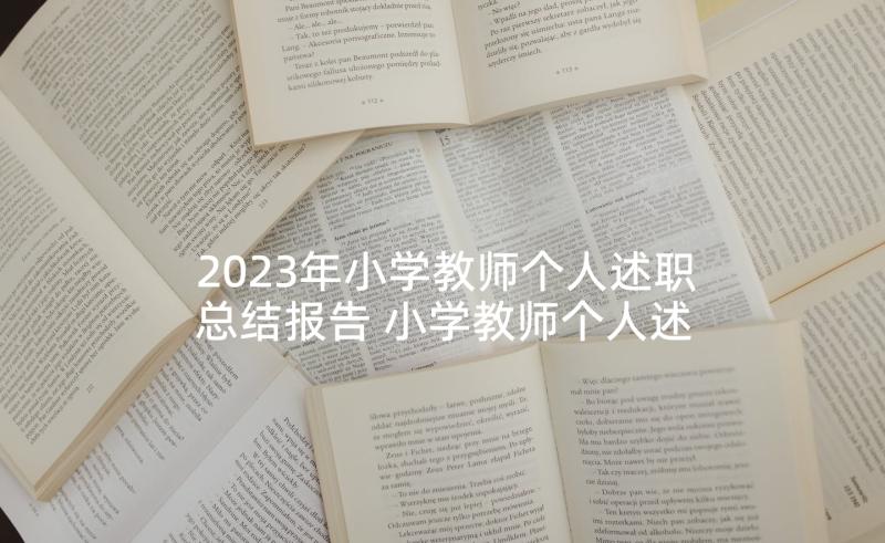 2023年小学教师个人述职总结报告 小学教师个人述职报告(大全7篇)