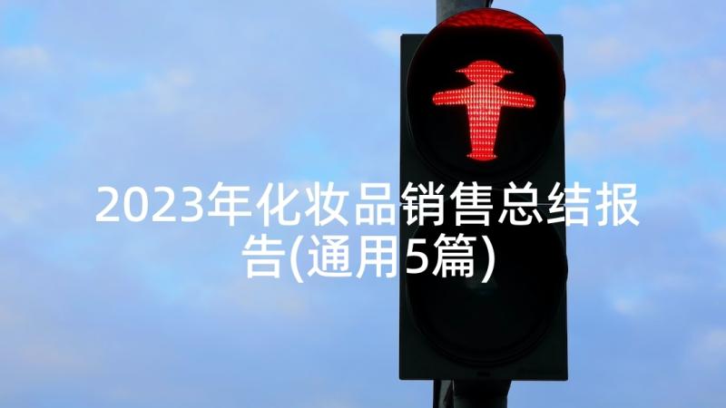 2023年化妆品销售总结报告(通用5篇)