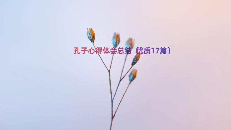 孔子心得体会总结（优质17篇）