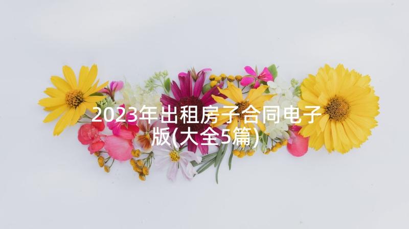 2023年出租房子合同电子版(大全5篇)