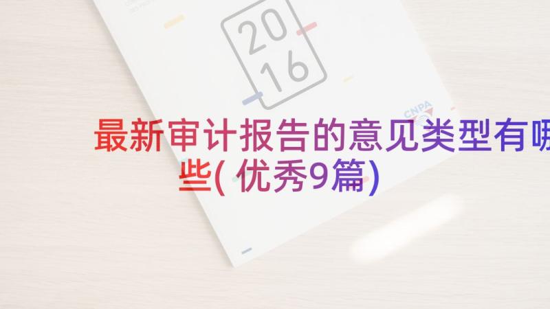 最新审计报告的意见类型有哪些(优秀9篇)