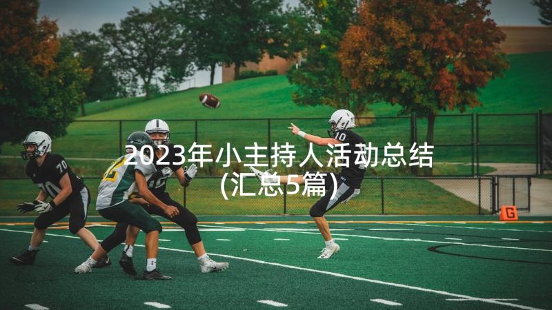 2023年小主持人活动总结(汇总5篇)