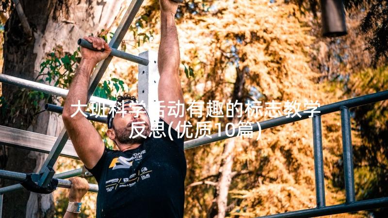 大班科学活动有趣的标志教学反思(优质10篇)