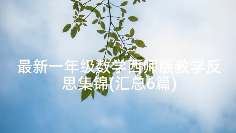 最新一年级数学西师版教学反思集锦(汇总6篇)