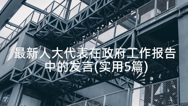 最新人大代表在政府工作报告中的发言(实用5篇)