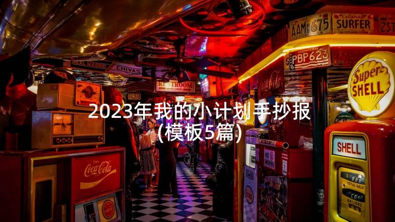 2023年我的小计划手抄报(模板5篇)