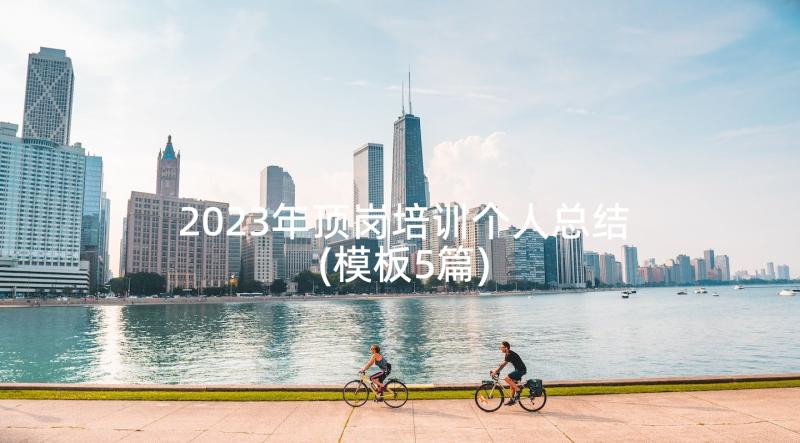 2023年顶岗培训个人总结(模板5篇)