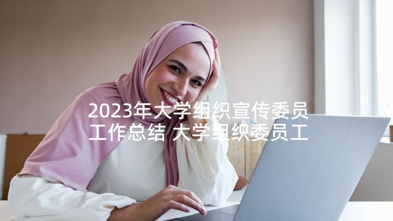 2023年大学组织宣传委员工作总结 大学组织委员工作总结(优秀7篇)