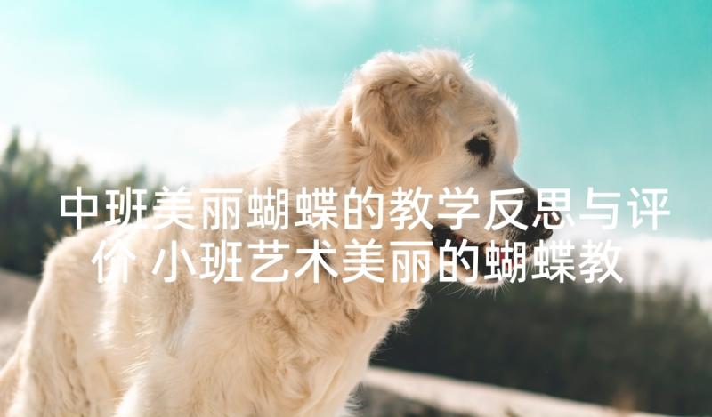 中班美丽蝴蝶的教学反思与评价 小班艺术美丽的蝴蝶教学反思(模板5篇)