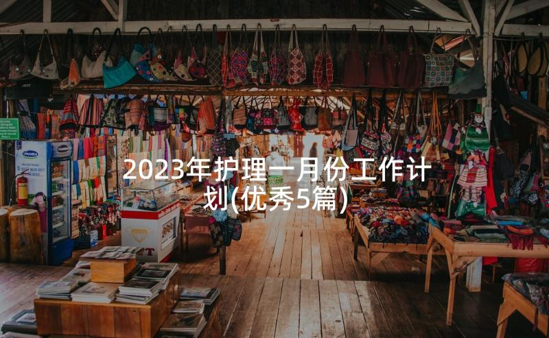 2023年护理一月份工作计划(优秀5篇)