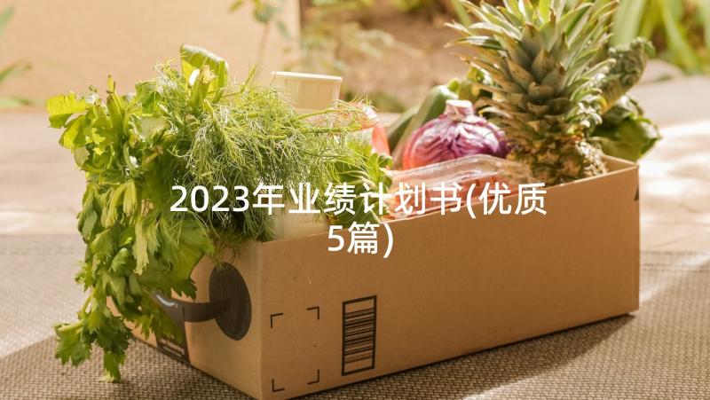 2023年业绩计划书(优质5篇)