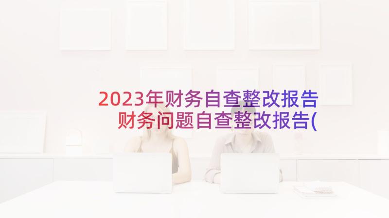 2023年财务自查整改报告 财务问题自查整改报告(优秀5篇)