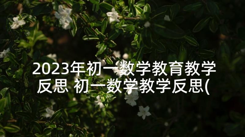 2023年初一数学教育教学反思 初一数学教学反思(汇总8篇)