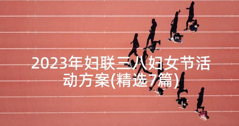 2023年妇联三八妇女节活动方案(精选7篇)