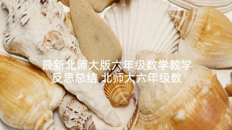 最新北师大版六年级数学教学反思总结 北师大六年级数学教学反思(大全10篇)