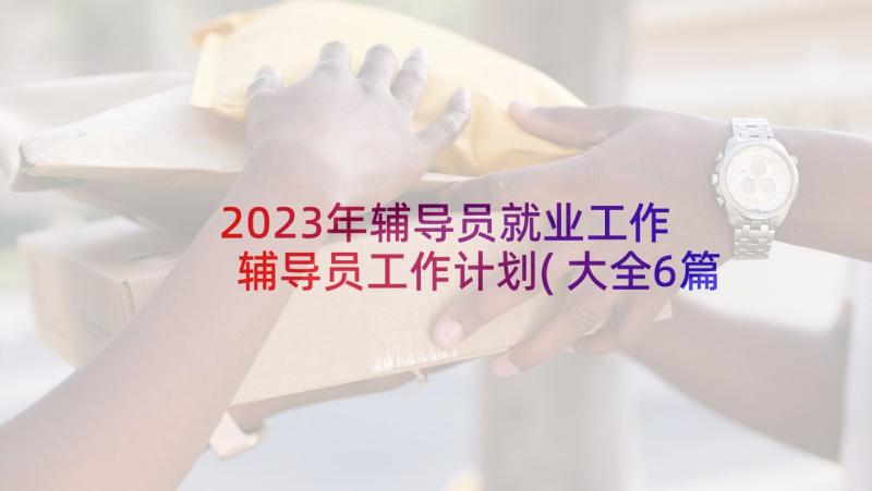 2023年辅导员就业工作 辅导员工作计划(大全6篇)