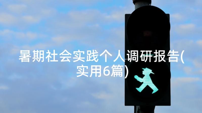 暑期社会实践个人调研报告(实用6篇)