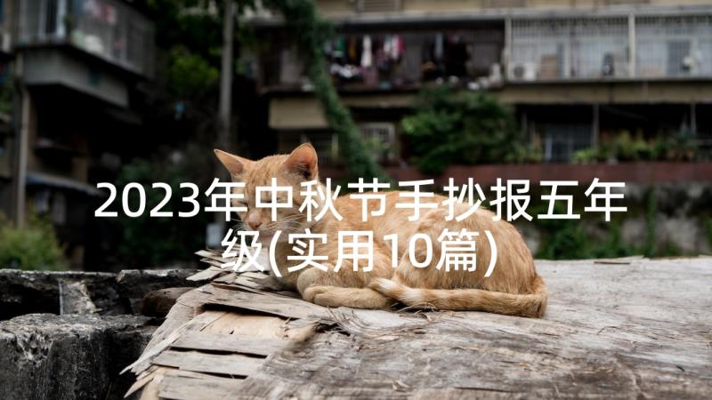 2023年中秋节手抄报五年级(实用10篇)