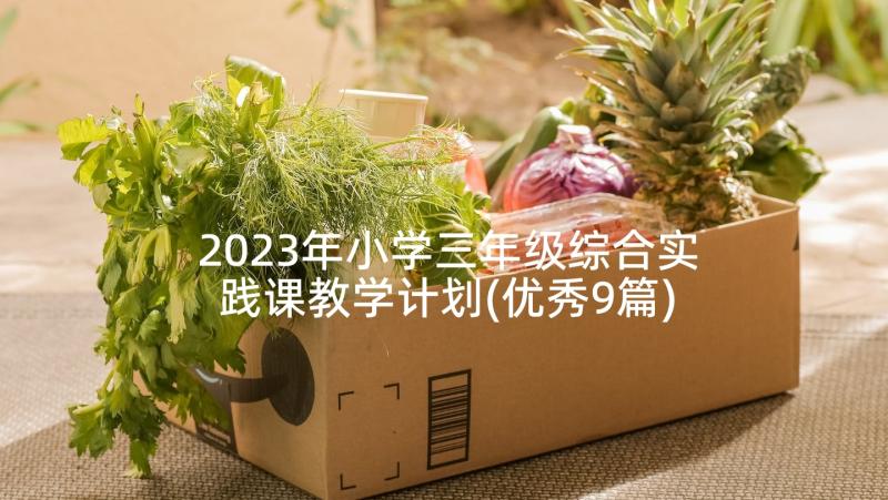 2023年小学三年级综合实践课教学计划(优秀9篇)