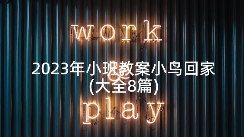 2023年小班教案小鸟回家(大全8篇)