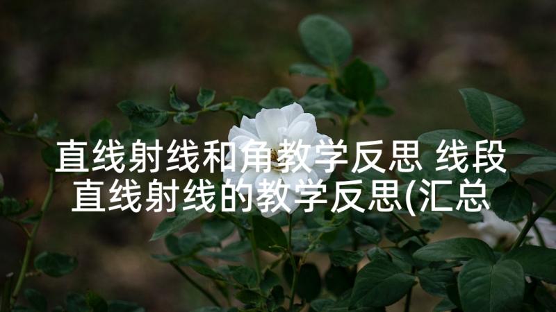 直线射线和角教学反思 线段直线射线的教学反思(汇总6篇)