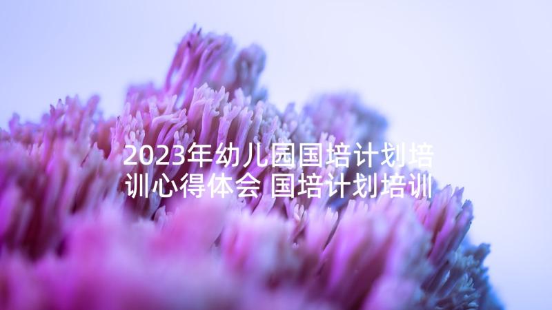 2023年幼儿园国培计划培训心得体会 国培计划培训心得体会(优秀6篇)