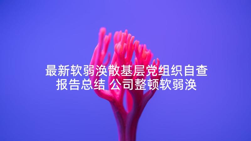 最新软弱涣散基层党组织自查报告总结 公司整顿软弱涣散党组织工作自查报告(优秀5篇)