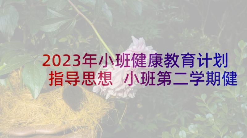 2023年小班健康教育计划指导思想 小班第二学期健康教育计划(汇总5篇)