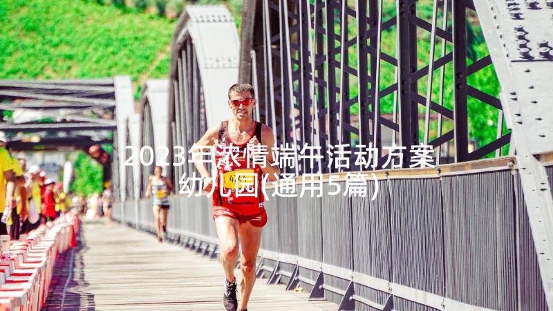 2023年浓情端午活动方案幼儿园(通用5篇)