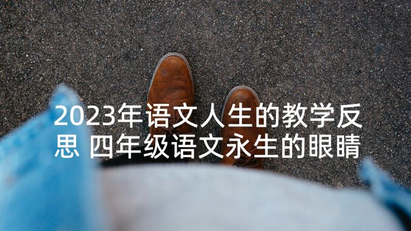 2023年语文人生的教学反思 四年级语文永生的眼睛的教学反思(实用5篇)