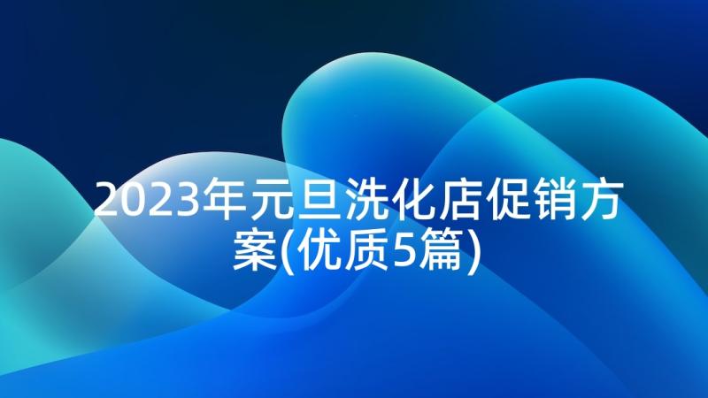 2023年元旦洗化店促销方案(优质5篇)