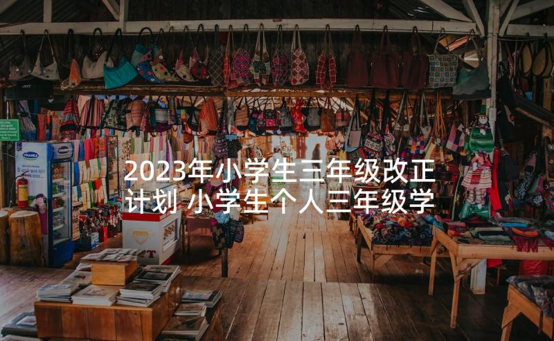 2023年小学生三年级改正计划 小学生个人三年级学习计划(实用5篇)