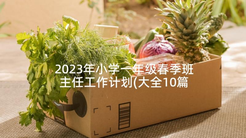 2023年小学一年级春季班主任工作计划(大全10篇)