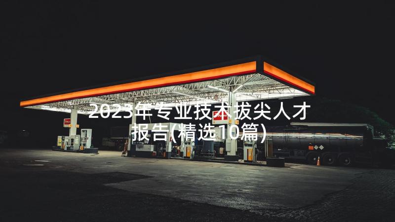 2023年专业技术拔尖人才报告(精选10篇)