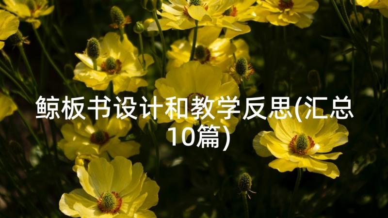 鲸板书设计和教学反思(汇总10篇)