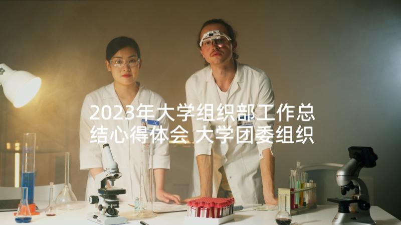 2023年大学组织部工作总结心得体会 大学团委组织部工作总结(优质10篇)